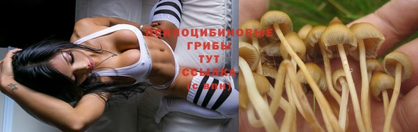 jwh Магас